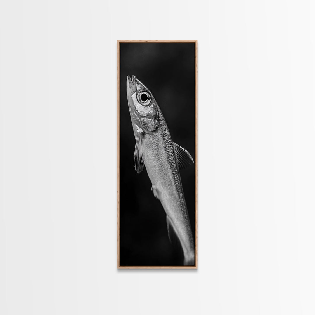 Silver Fish, Minimal Animal, Ocean Catch, Framed Canvas Print, Kitchen Wall Art, Nature Inspired Decor, Monochrome Sea Life