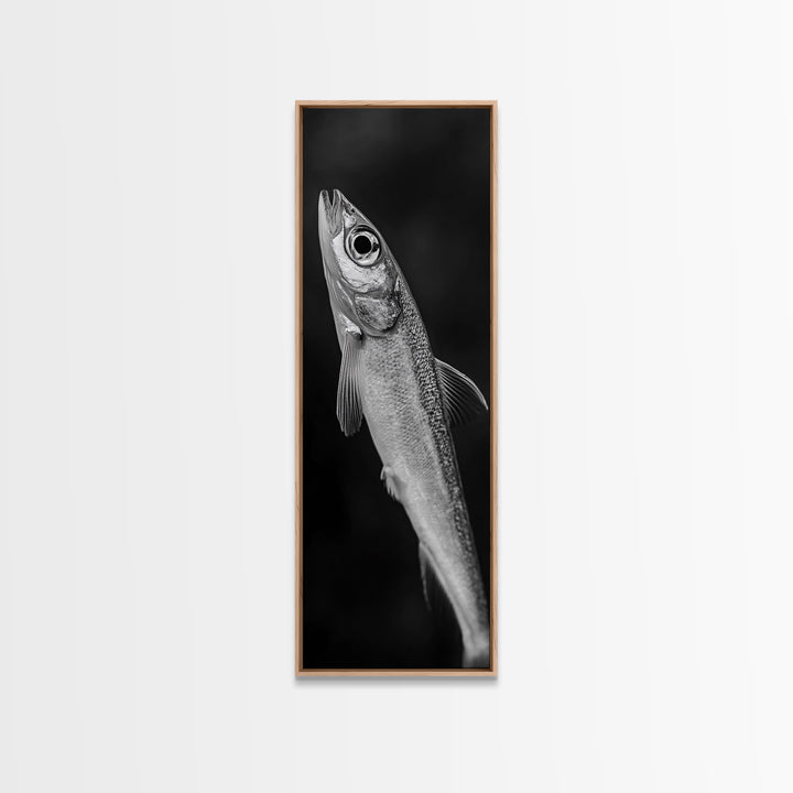 Silver Fish, Minimal Animal, Ocean Catch, Framed Canvas Print, Kitchen Wall Art, Nature Inspired Decor, Monochrome Sea Life