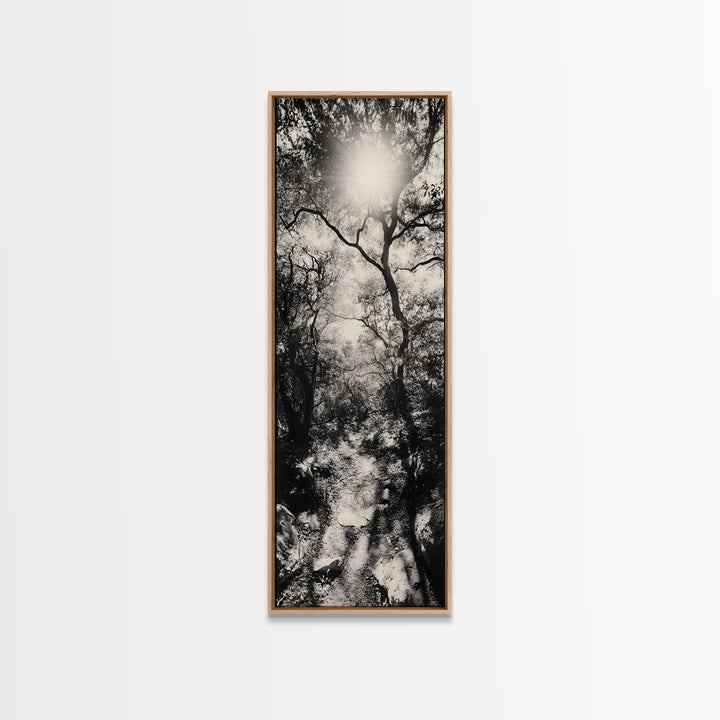Forest Path, Sunburst Trees, Woodland Trail, Nature Light Framed Canvas Print, Boho Entryway Wall Art, Autumn Rustic Home Decor