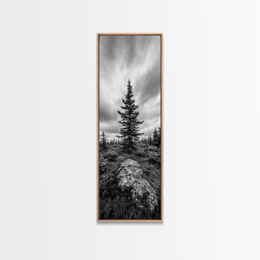 Lone Pine Tree, Forest Mood, Wilderness Art, Framed Canvas Print, Minimalist Wall Decor, Cabin Art, Neutral Fall Tones, Nature Lover Gift