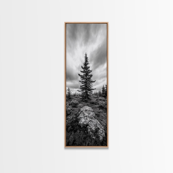 Lone Pine Tree, Forest Mood, Wilderness Art, Framed Canvas Print, Minimalist Wall Decor, Cabin Art, Neutral Fall Tones, Nature Lover Gift