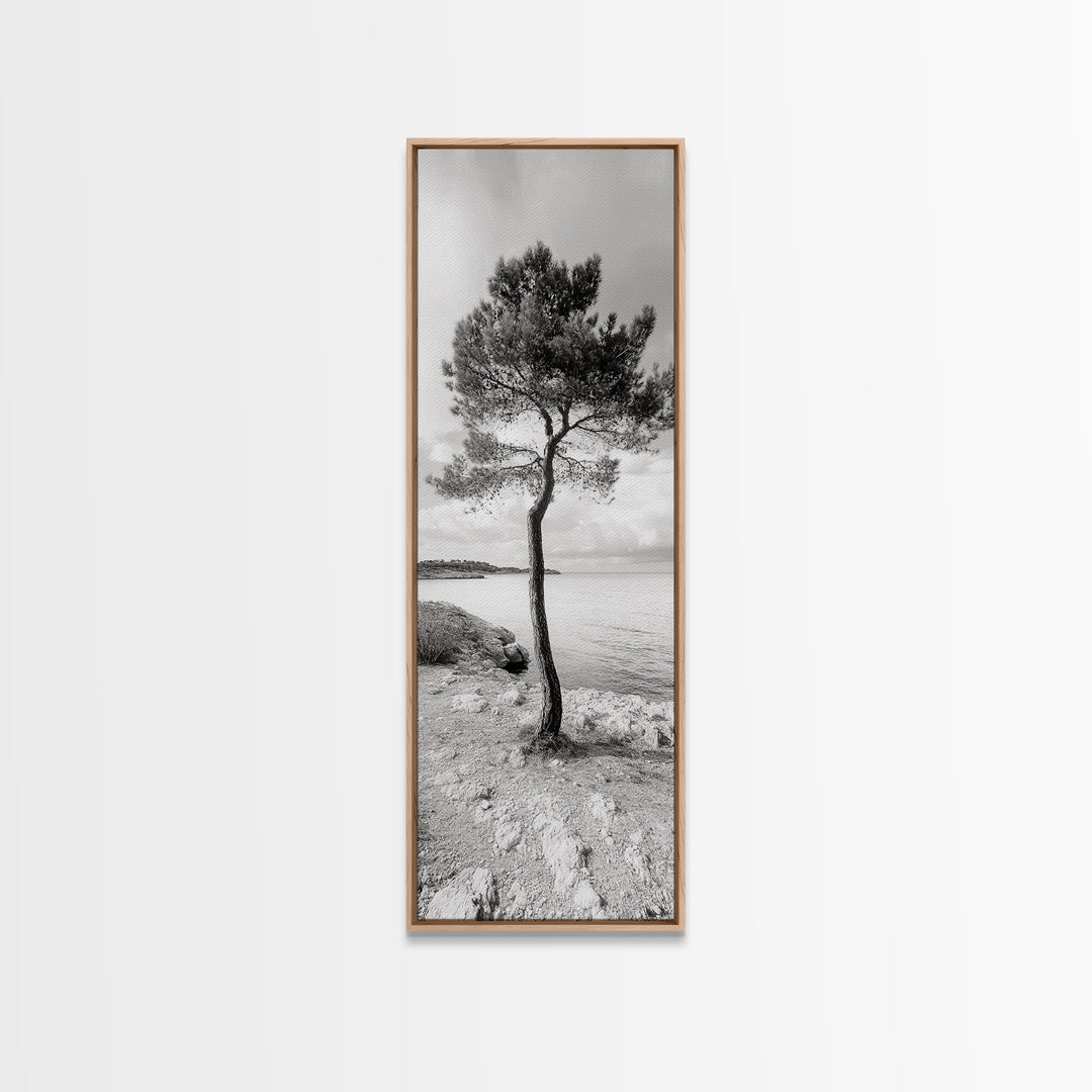 Coastal Tree, Seaside Calm, Lone Pine, Framed Canvas Print, Neutral Wall Art, Minimalist Decor, Nature Inspired Bedroom Print
