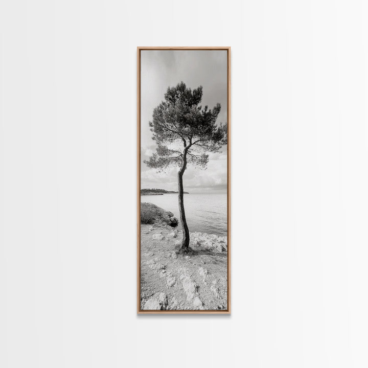Coastal Tree, Seaside Calm, Lone Pine, Framed Canvas Print, Neutral Wall Art, Minimalist Decor, Nature Inspired Bedroom Print