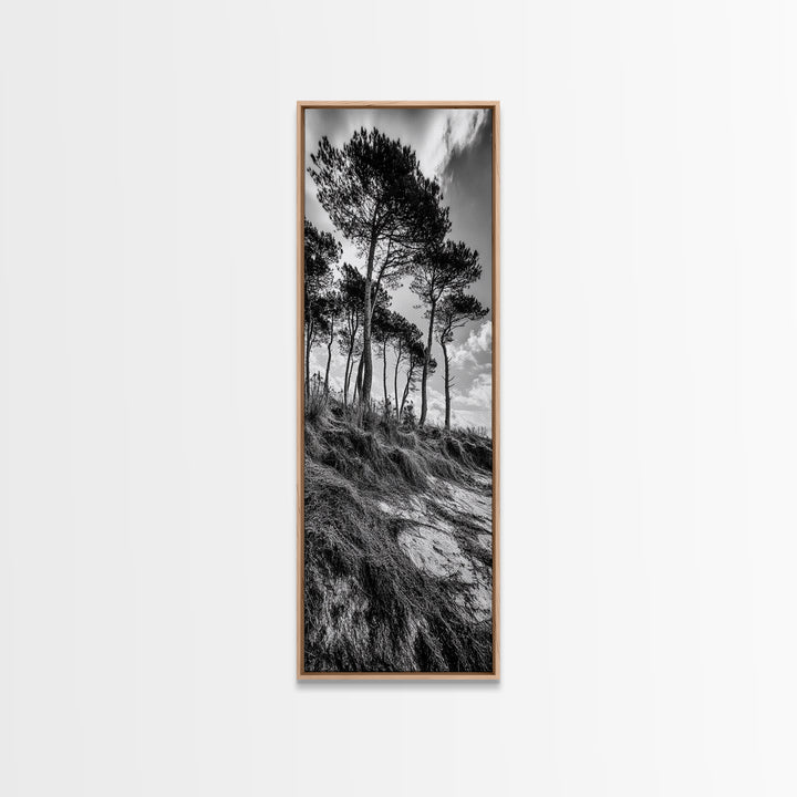 Windy Pines, Cliff Edge, Tree Silhouettes, Canvas Print, Moody Forest Photography, Rustic Cabin Wall Art, Autumn Living Room Decor