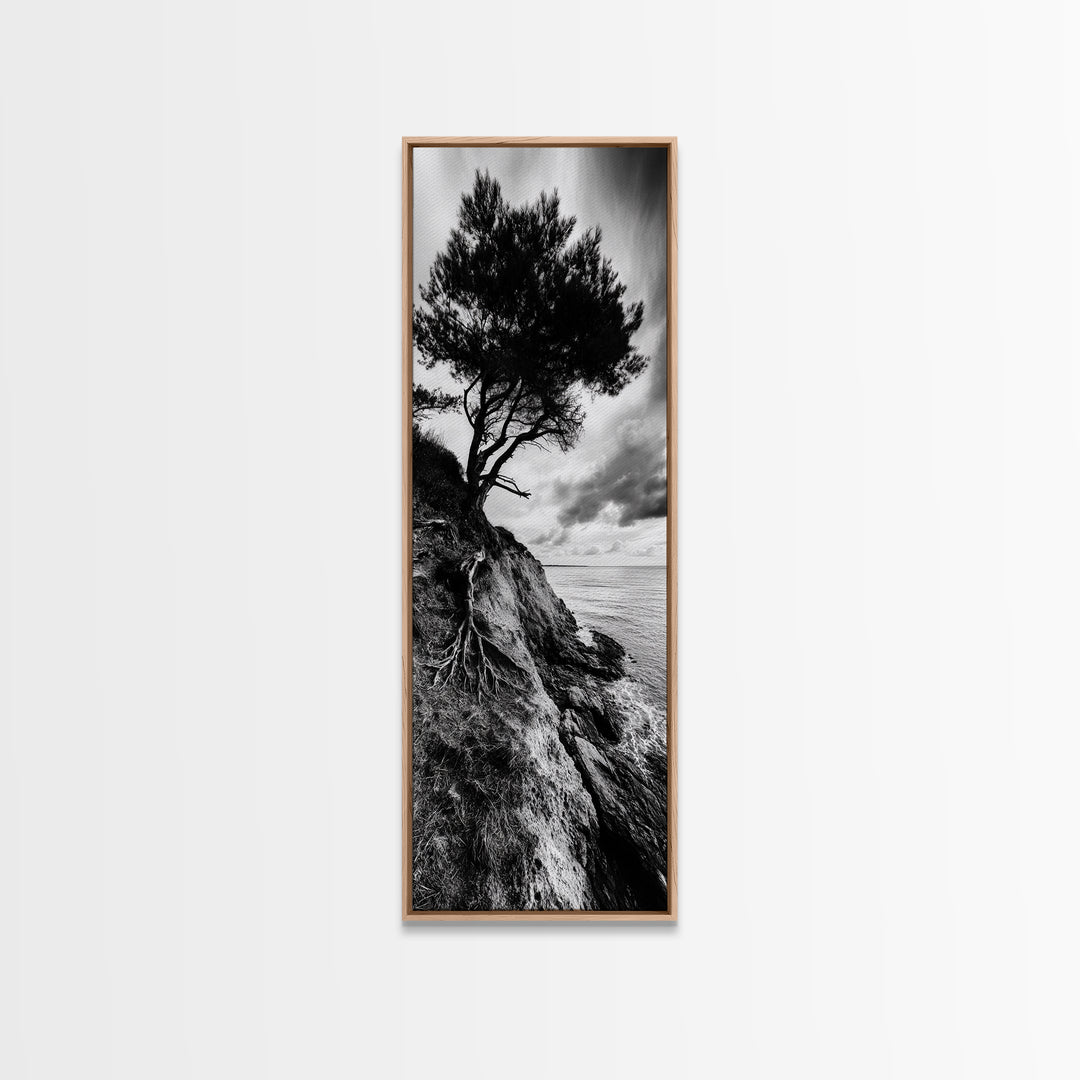 Cliff Tree, Coastal Roots, Dramatic Landscape, Framed Canvas Print, Bold Nature Wall Art, Modern Black And White Decor, Fall Office Accent