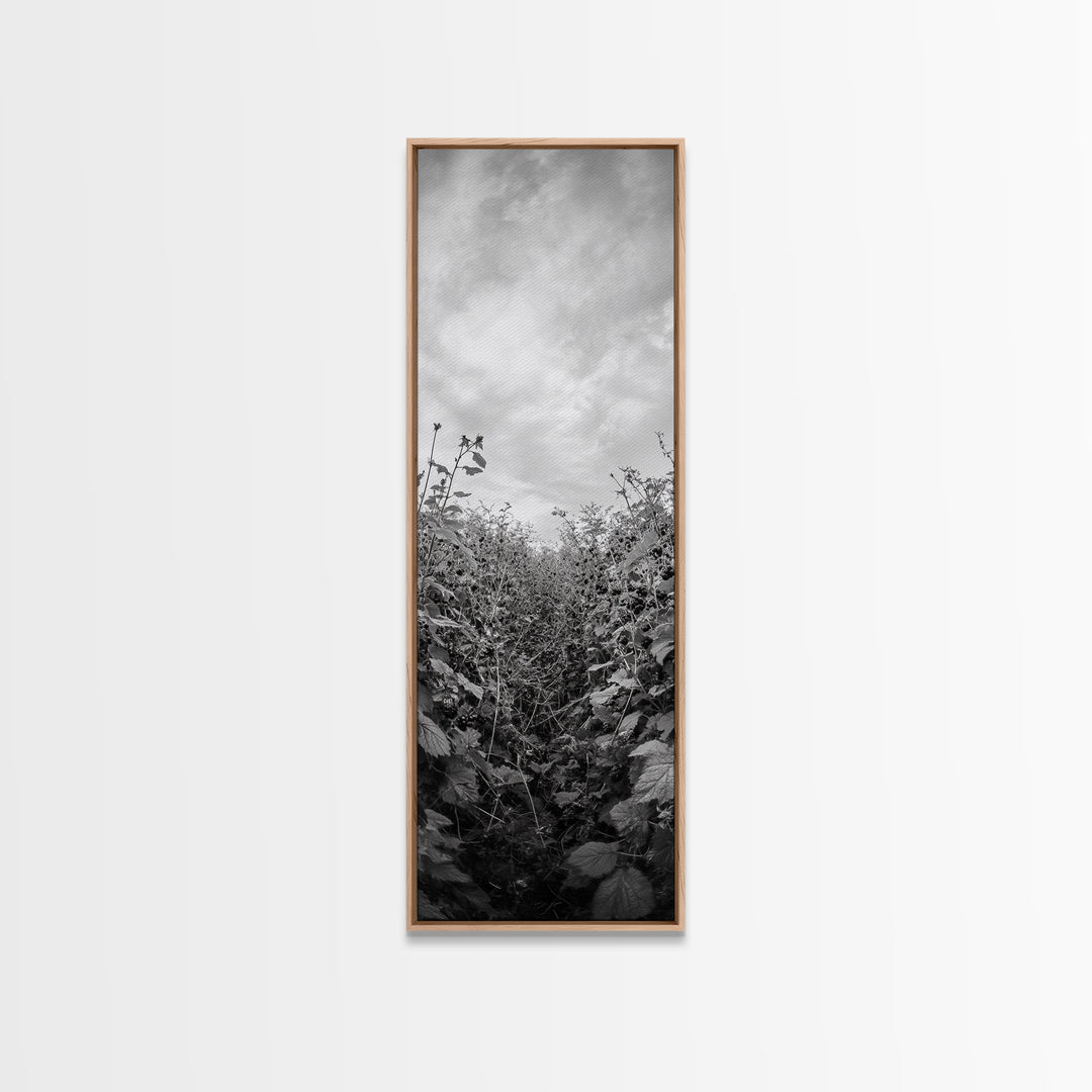Wild Berry Path, Autumn Botanical Art, Overgrown Garden Scene, Fall Nature Photography, Rustic Kitchen Decor, Framed Canvas Print