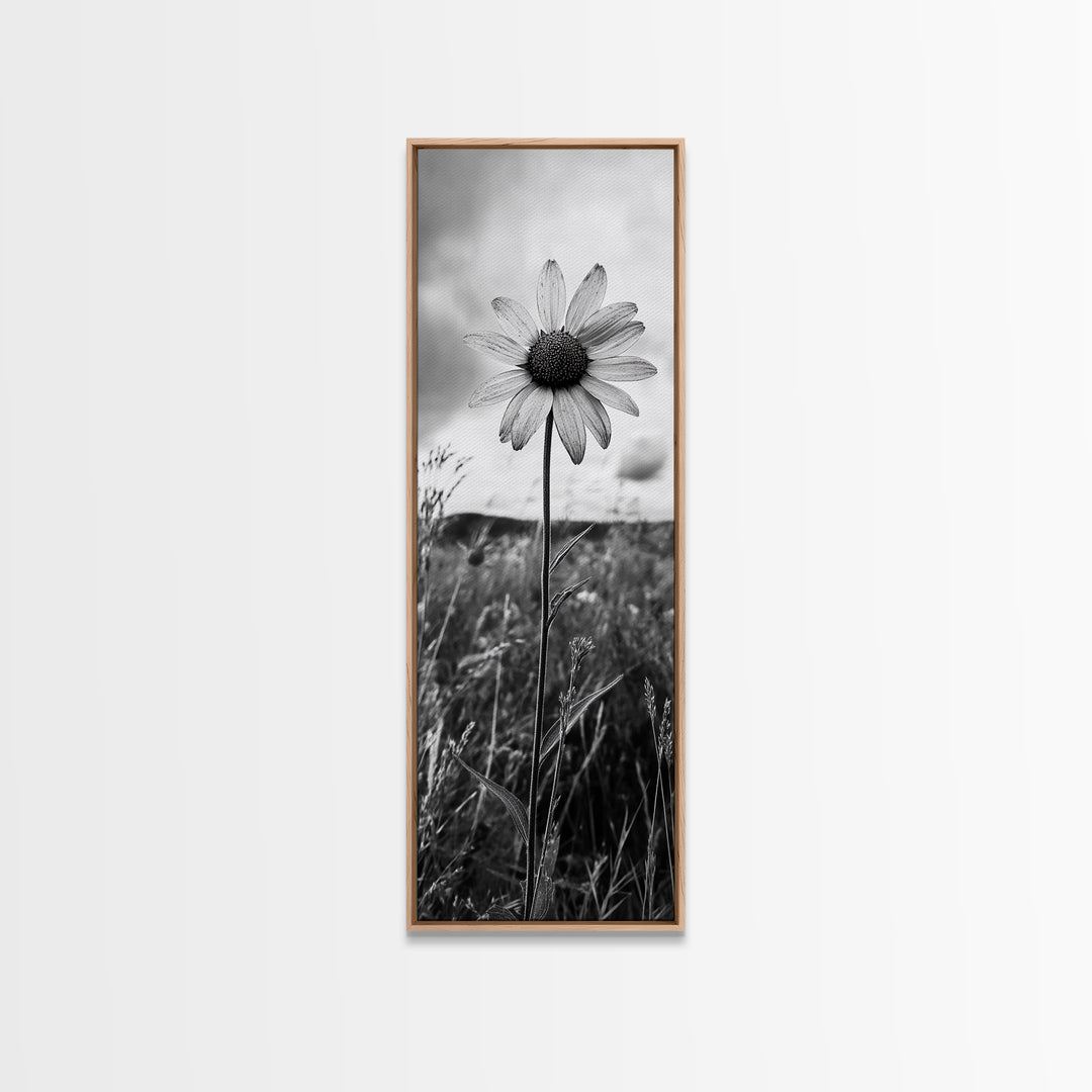 Single Daisy Bloom, Minimalist Botanical, Black White Flower, Framed Canvas Print, Nature Inspired Art, Bedroom Wall Decor, Modern Farmhouse