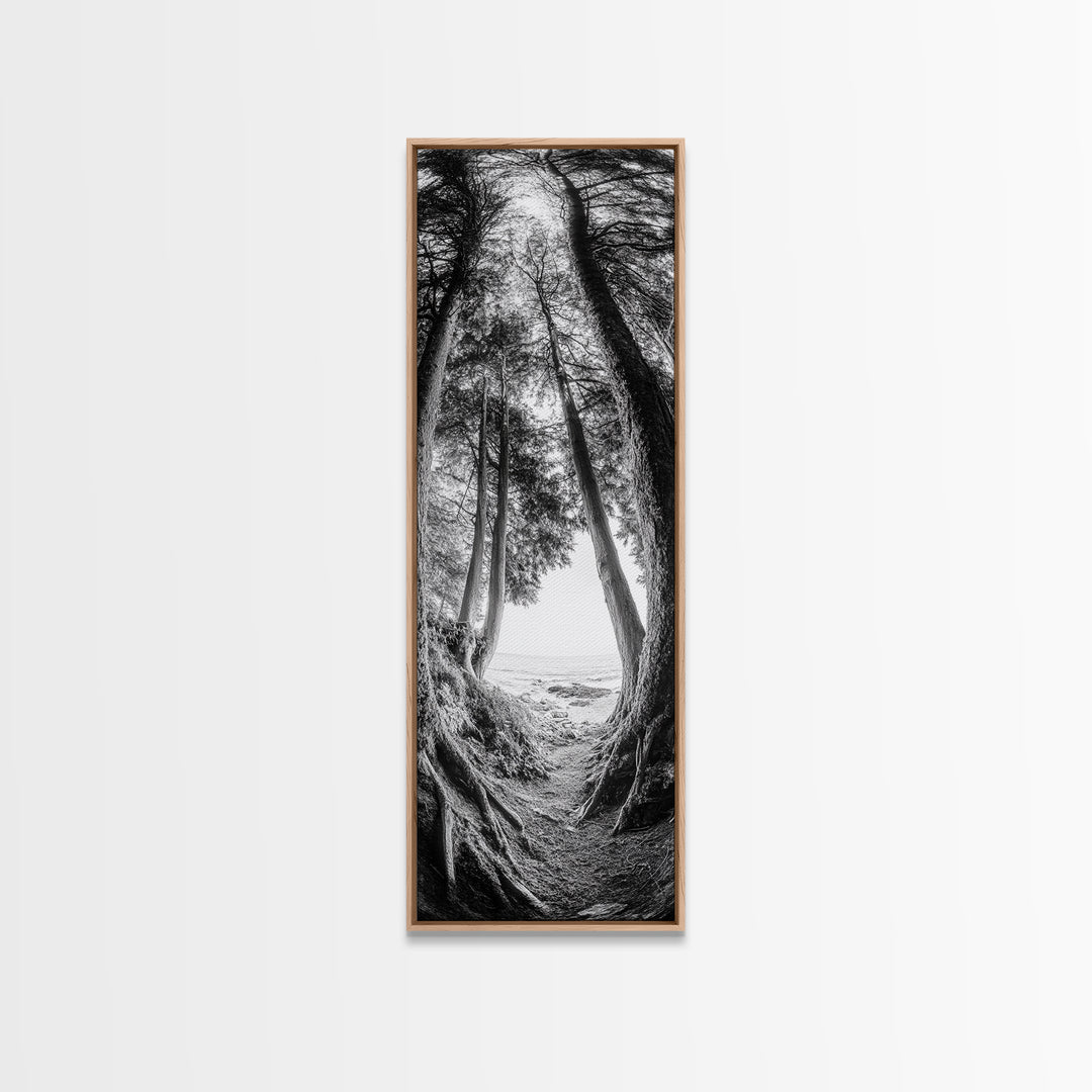 Forest Path, Ocean View, Tall Trees, Canvas Print, Black and White Nature Art, Entryway Wall Art, Rustic Woodland Aesthetic, Bedroom Wall Art