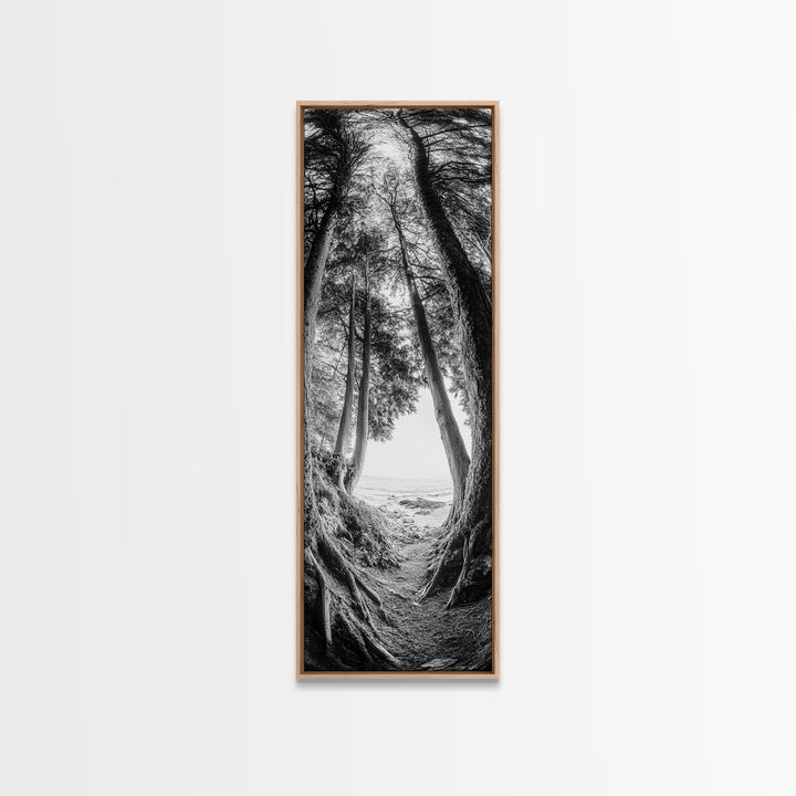 Forest Path, Ocean View, Tall Trees, Canvas Print, Black and White Nature Art, Entryway Wall Art, Rustic Woodland Aesthetic, Bedroom Wall Art