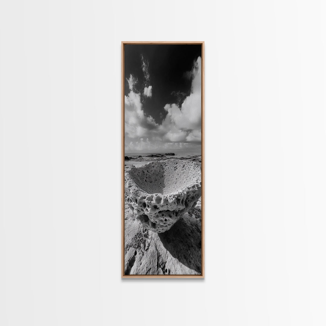 Sea Sponge, Coastal Rock, Ocean View, Canvas Print, Minimalist Nature Photography, Bathroom Wall Art, Black and White Ocean Decor