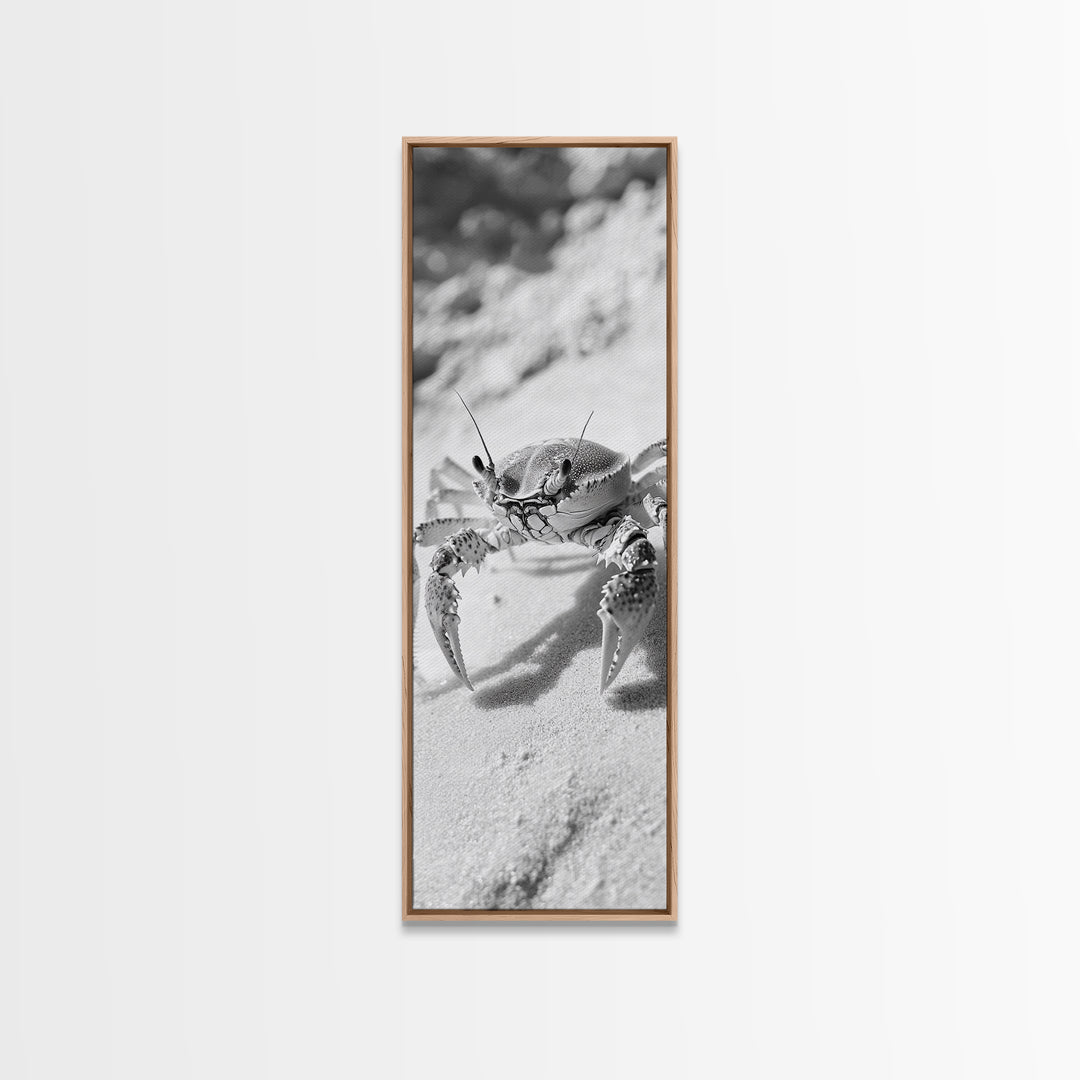 Sand Crab, Coastal Vibes, Beach Creature, Desert Aesthetic, Monochrome Wall Art, Canvas Print, Boho Bathroom Decor, Ocean Life Artwork