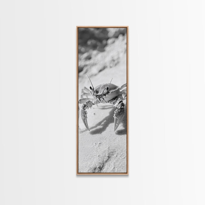 Sand Crab, Coastal Vibes, Beach Creature, Desert Aesthetic, Monochrome Wall Art, Canvas Print, Boho Bathroom Decor, Ocean Life Artwork