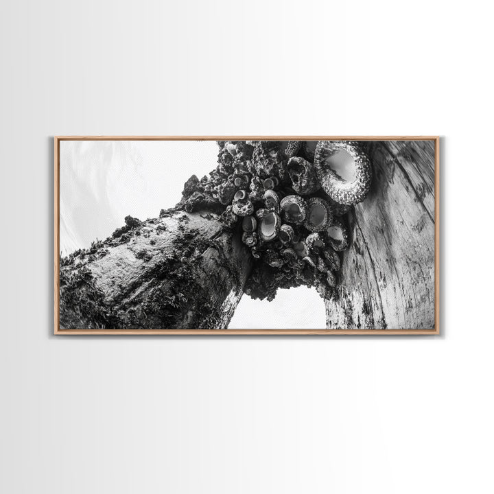 Coastal Texture, Tidepool Abstract, Modern Ocean Nature, Framed Canvas Print, Bathroom Wall Art, Marine Minimalist Photography