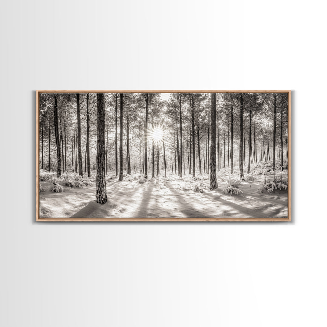 Winter Pine Forest, Sunlight Snow Trees, Nature Landscape Photography, Framed Canvas Print, Cabin Decor, Minimalist Wall Art