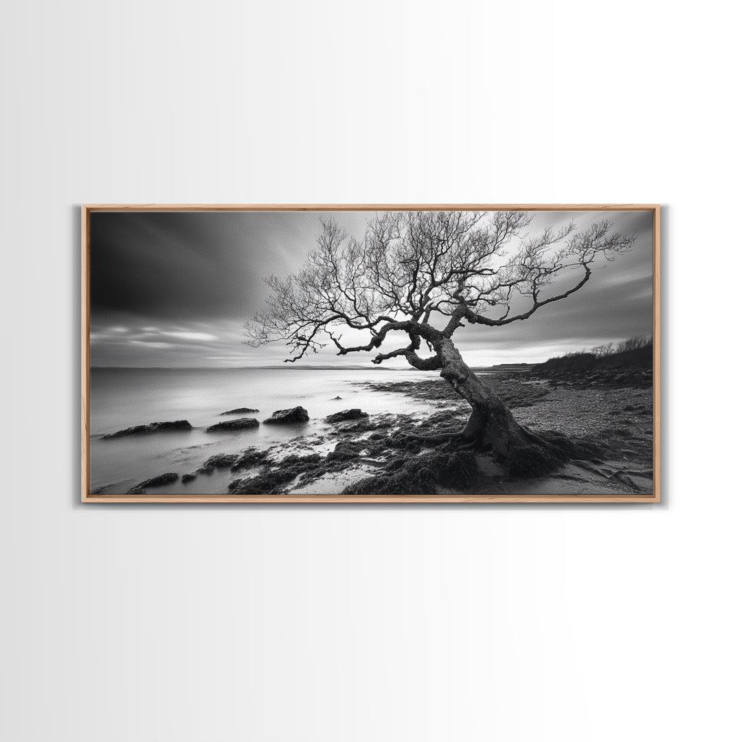 Coastal Tree, Tidal Shore, Windswept Beauty, Natural Balance, Framed Canvas Print, Bedroom Wall Art, Boho Decor, Serene Seascape