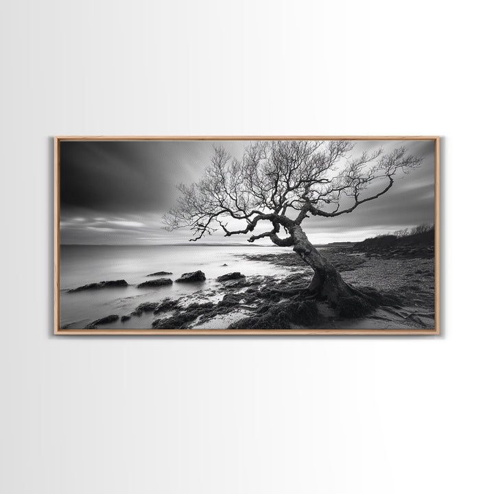 Coastal Tree, Tidal Shore, Windswept Beauty, Natural Balance, Framed Canvas Print, Bedroom Wall Art, Boho Decor, Serene Seascape