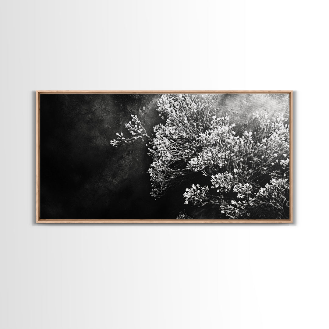 Botanical Texture, Nature Closeup Art, Modern Organic Aesthetic, Framed Canvas Print, Bedroom Wall Art, Neutral Boho Wall Decor