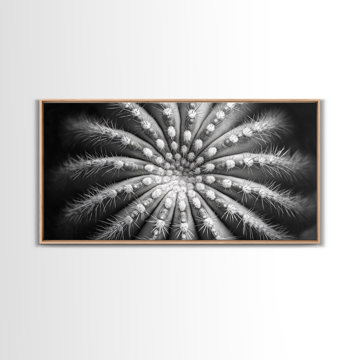 Cactus Spiral, Desert Bloom, Nature Closeup, Modern Decor, Framed Canvas Print, Minimalist Botanical Art, Office Wall Art, Succulent Texture