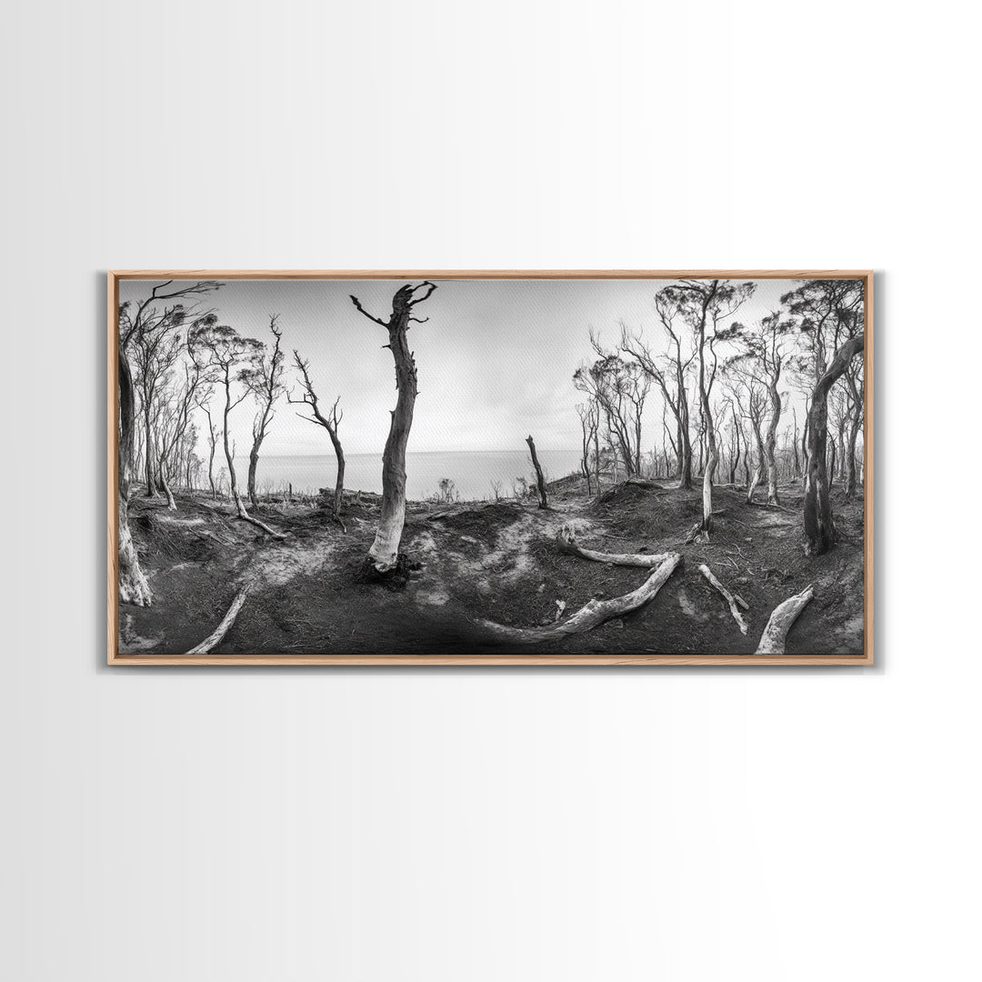 Burnt Forest, Moody Trees, Coastal Landscape, Nature Scene, Framed Canvas Print, Rustic Wall Art, Boho Decor, Fall Home Aesthetic