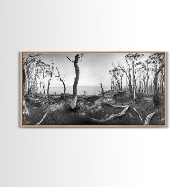 Burnt Forest, Moody Trees, Coastal Landscape, Nature Scene, Framed Canvas Print, Rustic Wall Art, Boho Decor, Fall Home Aesthetic