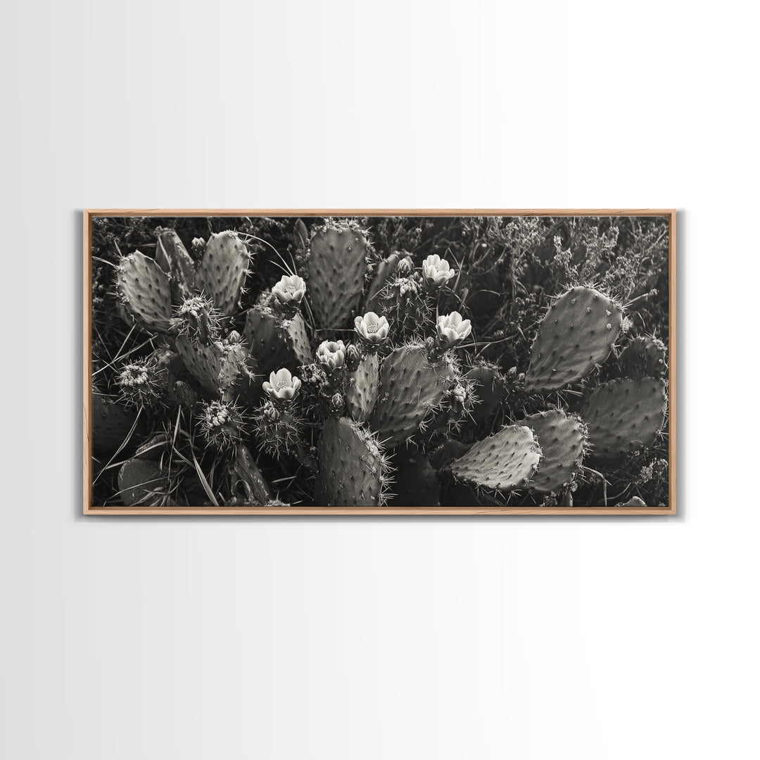 Cactus Blooms, Desert Flowers, Prickly Pear, Nature Closeup, Framed Canvas Print, Southwestern Art, Kitchen Wall Art, Boho Style