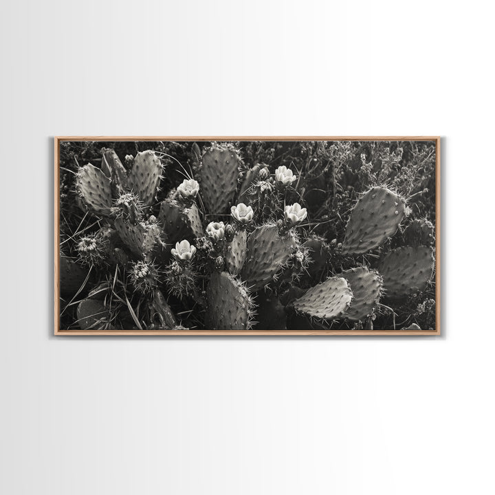 Cactus Blooms, Desert Flowers, Prickly Pear, Nature Closeup, Framed Canvas Print, Southwestern Art, Kitchen Wall Art, Boho Style