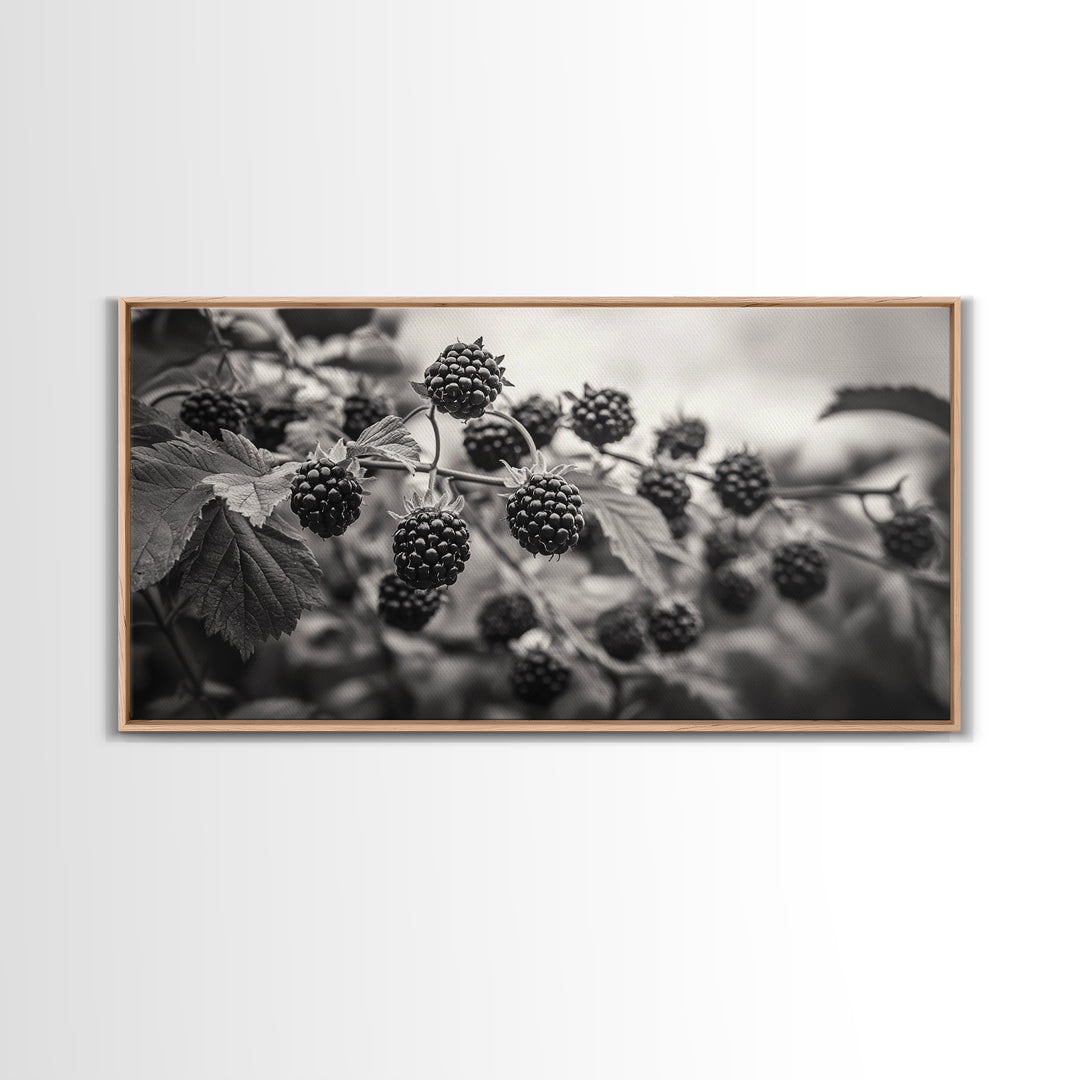 Blackberries on Vine, Farmhouse Kitchen Art, Rustic Fruit Wall Decor, Country Style, Autumn Botanical Photography, Canvas Print