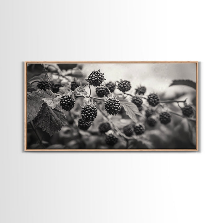 Blackberries on Vine, Farmhouse Kitchen Art, Rustic Fruit Wall Decor, Country Style, Autumn Botanical Photography, Canvas Print