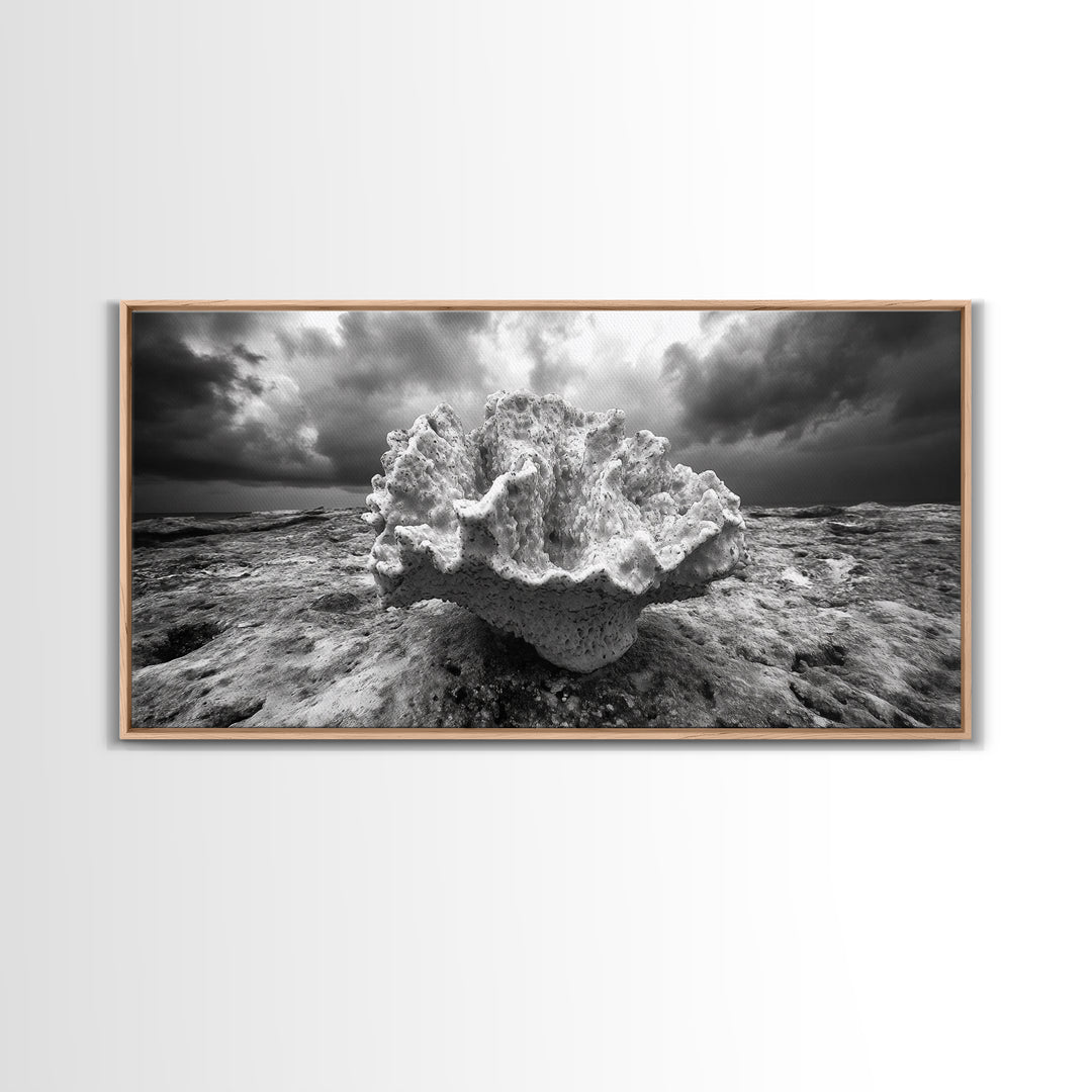 Coral Texture, Ocean Storm, Dramatic Sky, Sea Fossil, Framed Canvas Print, Coastal Nature Art, Fall Entryway Wall Decor, Cabin Wall Art
