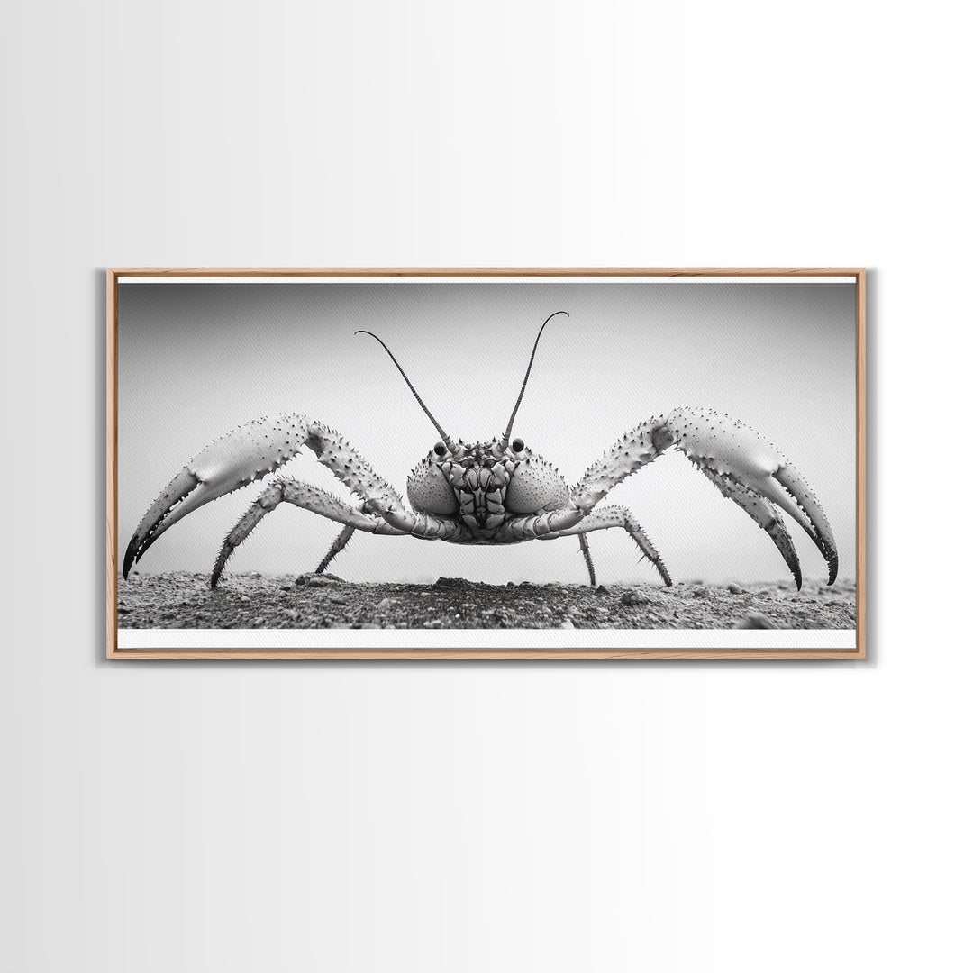 Crab Art, Beach Creature, Monochrome Photography, Nature Close-Up, Framed Canvas Print, Coastal Bathroom Art, Marine Home Style