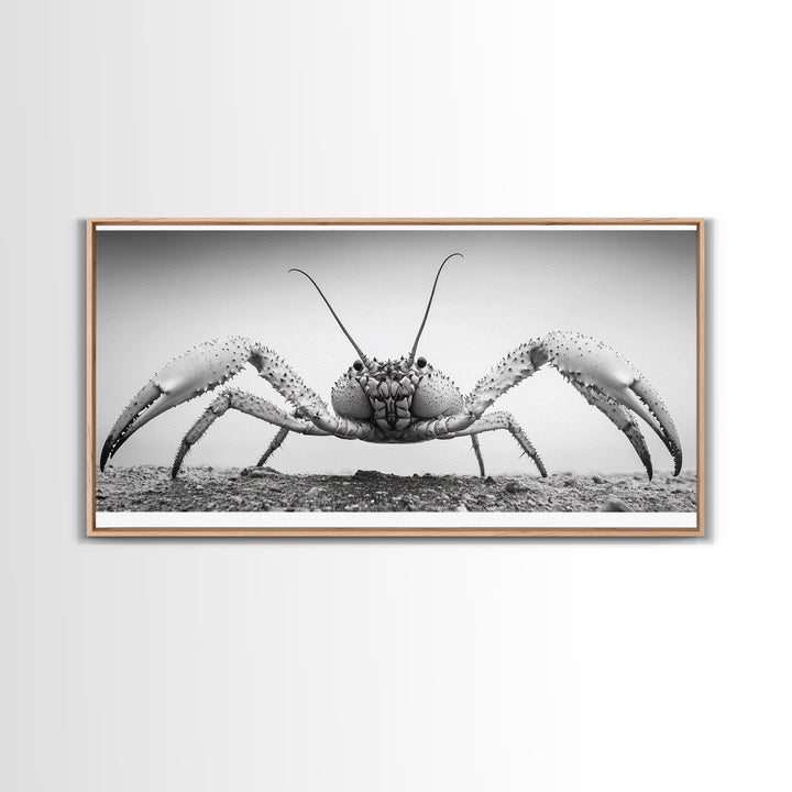 Crab Art, Beach Creature, Monochrome Photography, Nature Close-Up, Framed Canvas Print, Coastal Bathroom Art, Marine Home Style
