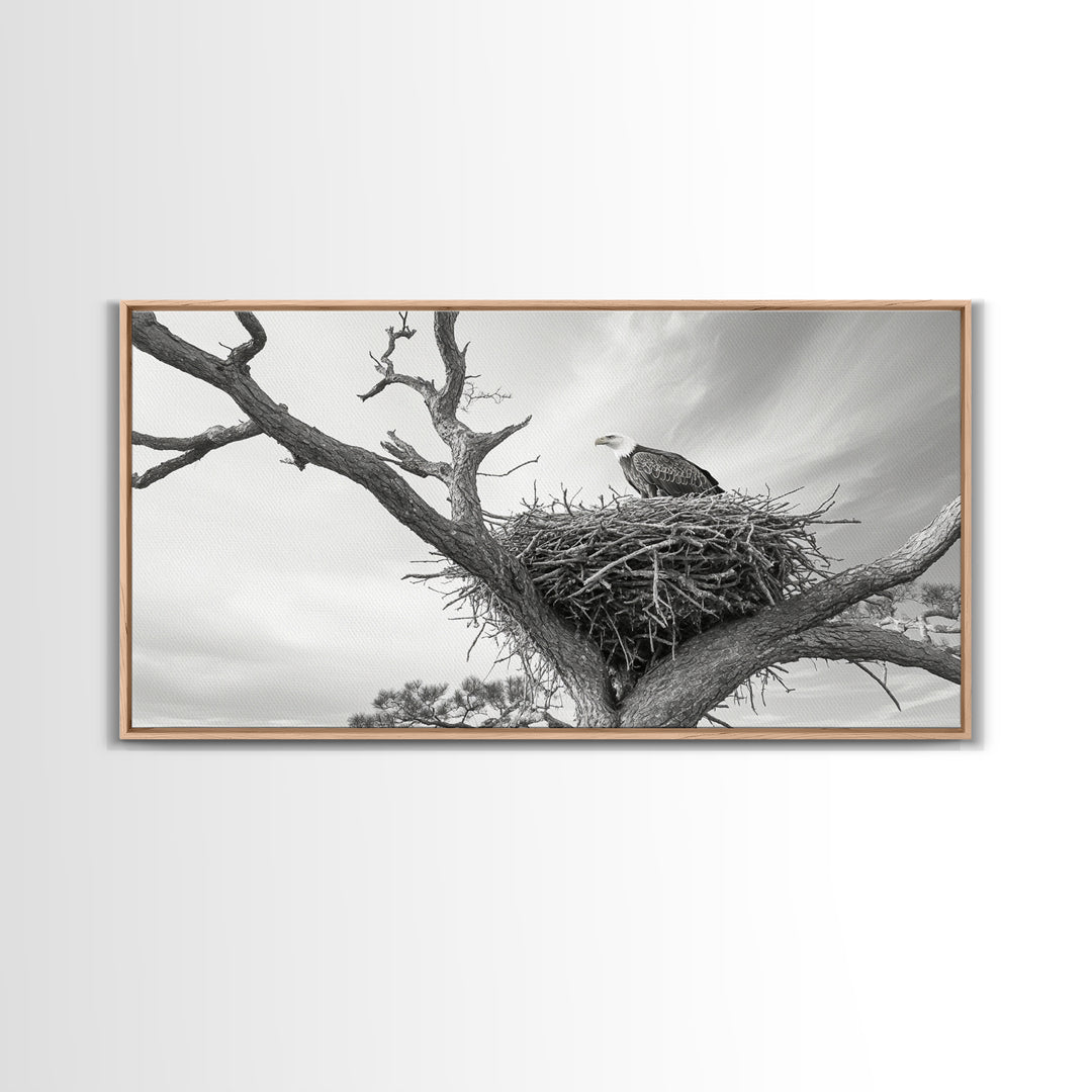 Bald Eagle Nest, Wildlife Nature Art, Rustic Cabin Decor, Framed Canvas Print, Patriotic Office Wall Art, Woodland Photography
