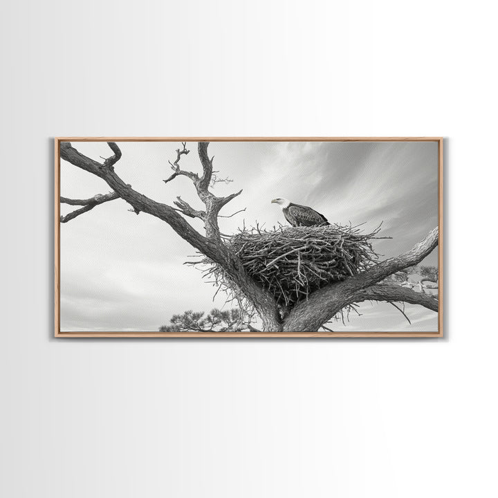 Bald Eagle Nest, Wildlife Nature Art, Rustic Cabin Decor, Framed Canvas Print, Patriotic Office Wall Art, Woodland Photography