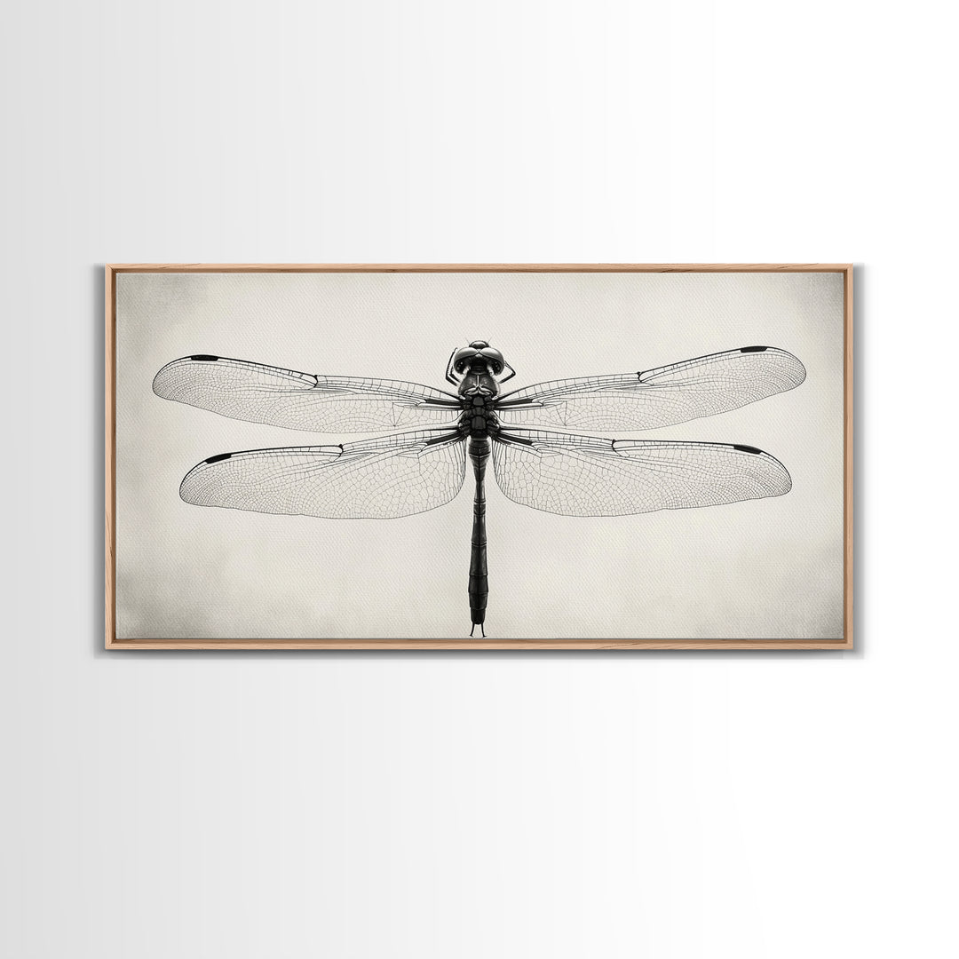 Dragonfly Sketch, Insect Art Print, Botanical Illustration, Minimalist Natural History, Framed Canvas Print, Office or Study Wall Art