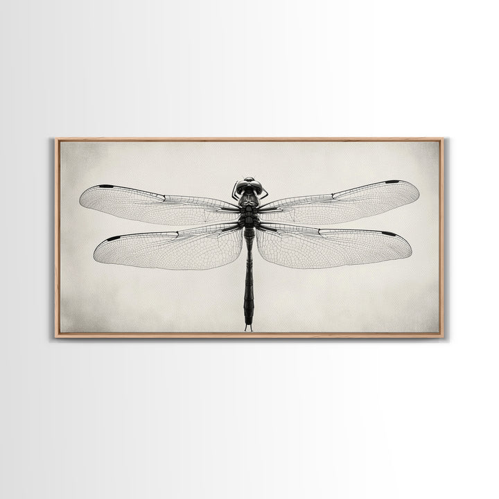 Dragonfly Sketch, Insect Art Print, Botanical Illustration, Minimalist Natural History, Framed Canvas Print, Office or Study Wall Art