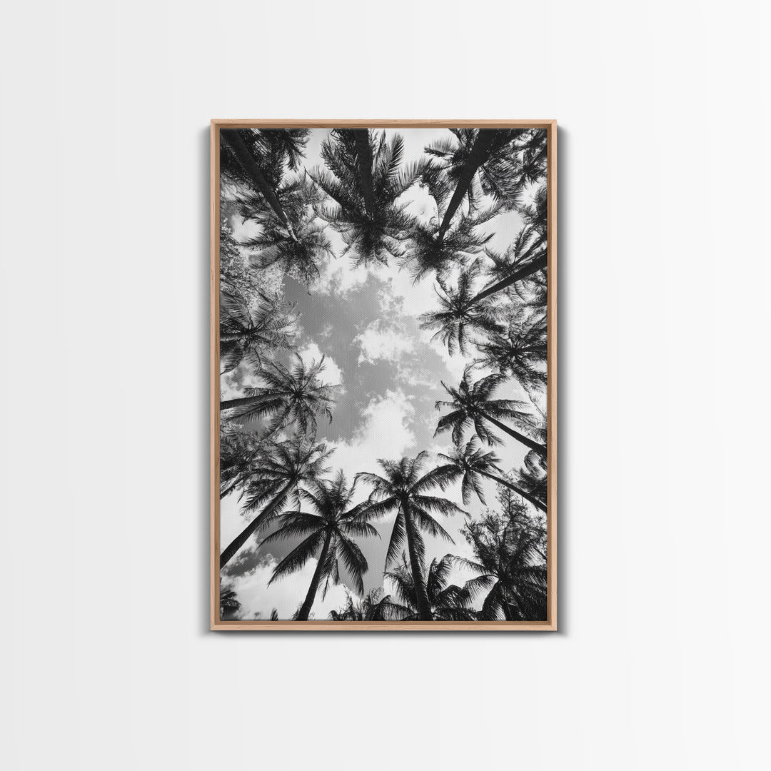 Palm Tree Sky, Tropical Canopy, Black and White Island View, Jungle Overhead Scene, Framed Canvas Print, Bathroom Wall Art, Beach Boho Decor