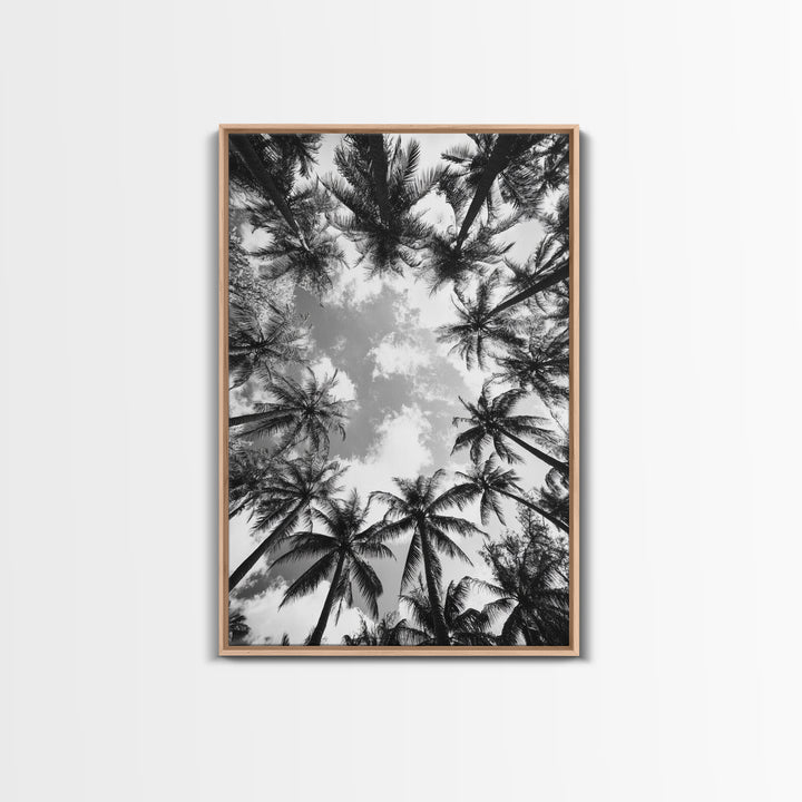 Palm Tree Sky, Tropical Canopy, Black and White Island View, Jungle Overhead Scene, Framed Canvas Print, Bathroom Wall Art, Beach Boho Decor