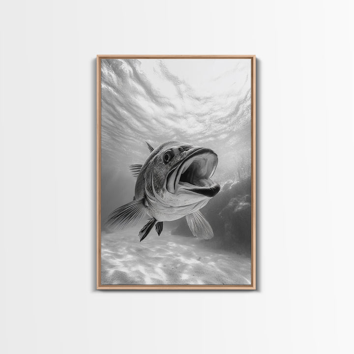 Underwater Fish, Ocean Predator, Aquatic Wildlife, Canvas Print, Bathroom Wall Art, Coastal Nautical Decor, Marine Photography