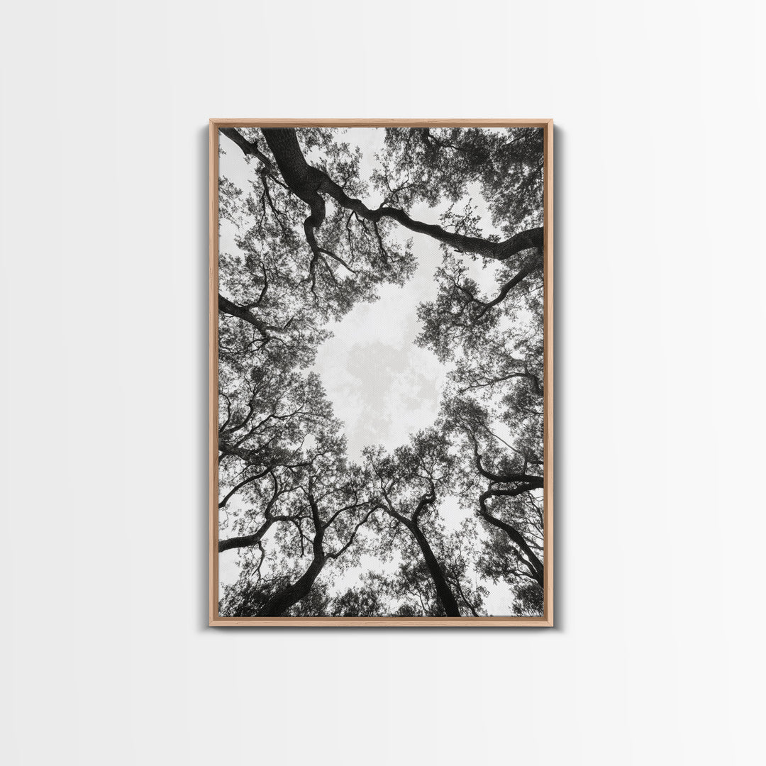 Forest Canopy View, Tree Tops Art, Nature Sky Print, Framed Canvas Print, Bedroom Wall Art, Minimalist Nature, Modern Rustic Decor