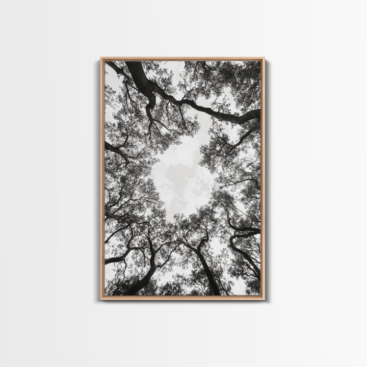 Forest Canopy View, Tree Tops Art, Nature Sky Print, Framed Canvas Print, Bedroom Wall Art, Minimalist Nature, Modern Rustic Decor