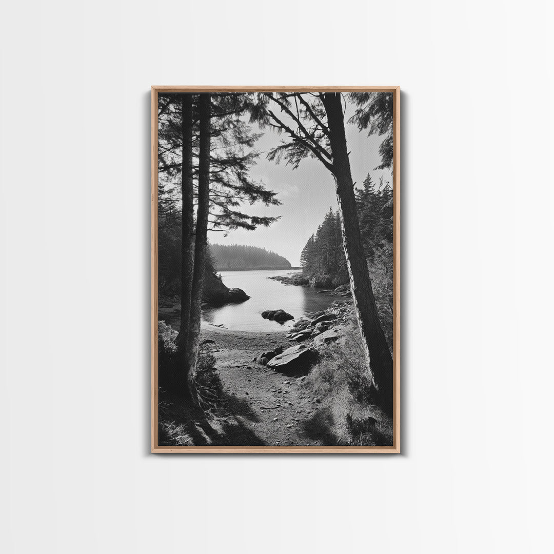 Woodland Cove Path, Tranquil Forest Scene, Nature Escape Art, Canvas Print, Cabin Wall Art, Coastal Boho Decor, Black White Landscape