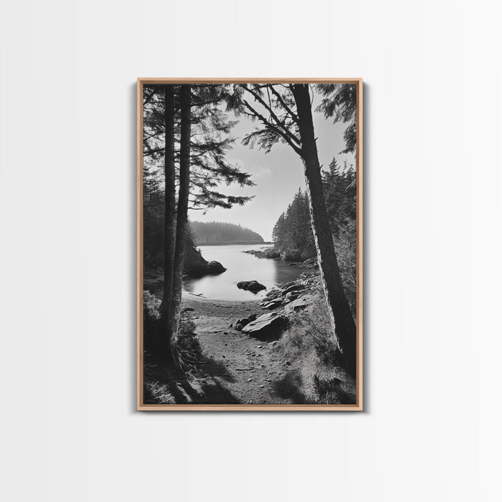 Woodland Cove Path, Tranquil Forest Scene, Nature Escape Art, Canvas Print, Cabin Wall Art, Coastal Boho Decor, Black White Landscape