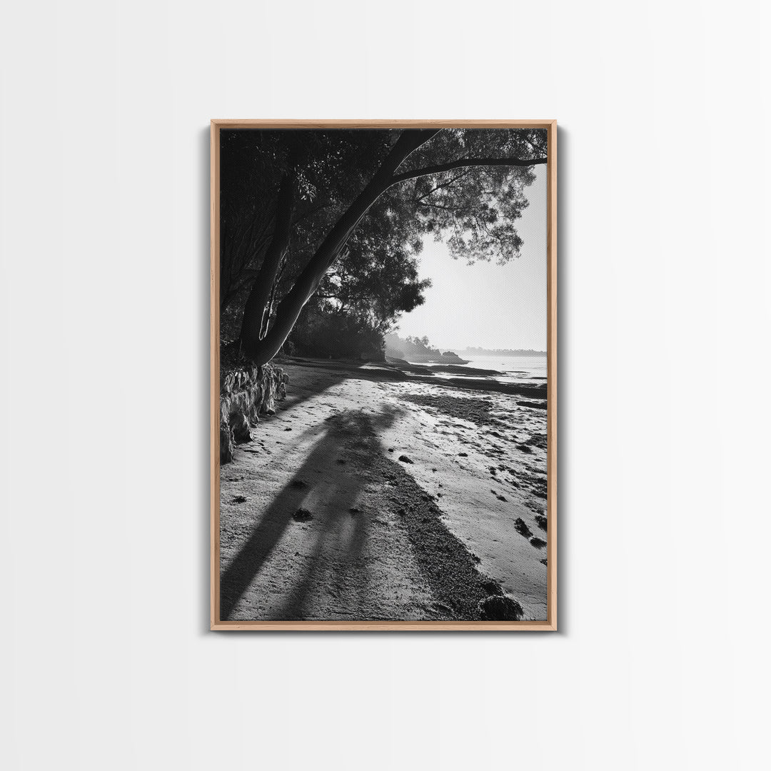 Coastal Shadows Path, Black and White Landscape, Framed Canvas Print, Entryway Art, Calm Nature Scene, Moody Coastal Wall Decor
