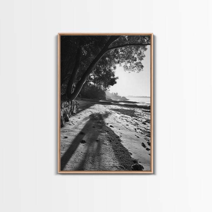 Coastal Shadows Path, Black and White Landscape, Framed Canvas Print, Entryway Art, Calm Nature Scene, Moody Coastal Wall Decor