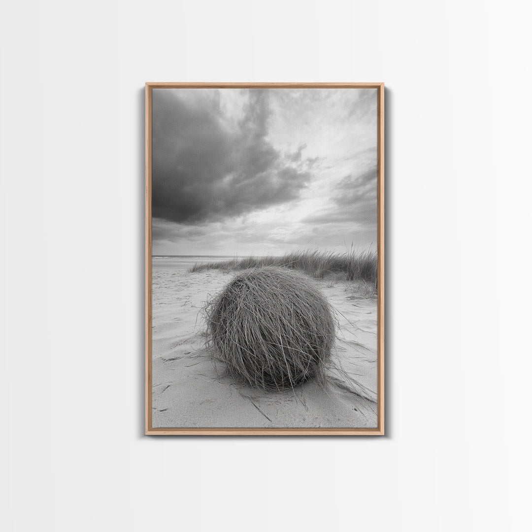 Tumbleweed Dune, Windy Coast, Desert Beach, Canvas Print, Boho Wall Art, Autumn Nature Decor, Minimalist Western Photography