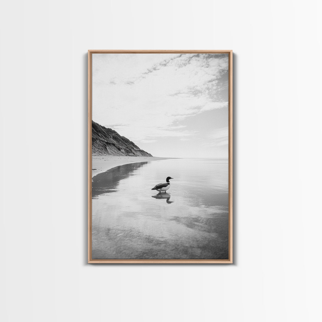 Lone Loon, Quiet Reflection, Coastal Bird, Framed Canvas Print, Nature Wall Art, Bathroom Decor, Serene Black and White Art