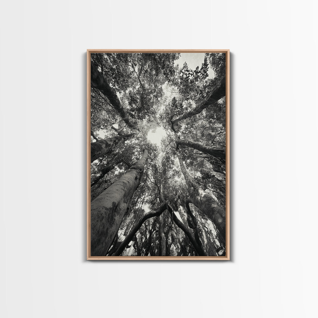 Tree Canopy, Forest Light, Upward View, Canvas Print, Woodland Wall Art, Living Room Decor, Nature Perspective Photography