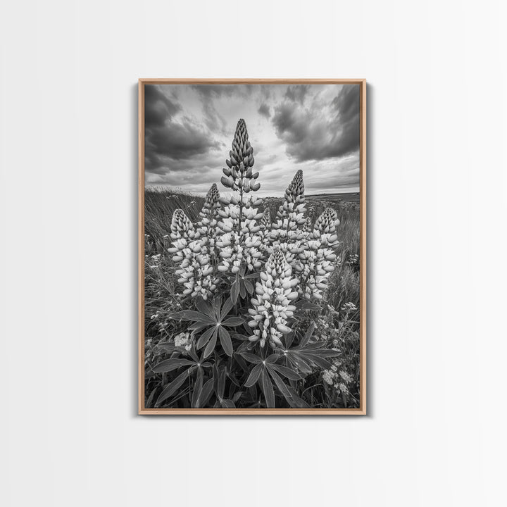 Lupine Flower Field, Bold Floral, Spring Nature Scene, Framed Canvas Print, Boho Living Room Art, Botanical Wall Decor