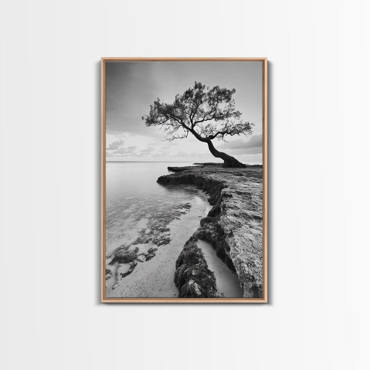 Coastal Tree Silhouette, Serene Nature Art, Ocean Wall Scene, Framed Canvas Print, Beach House Decor, Minimalist Design
