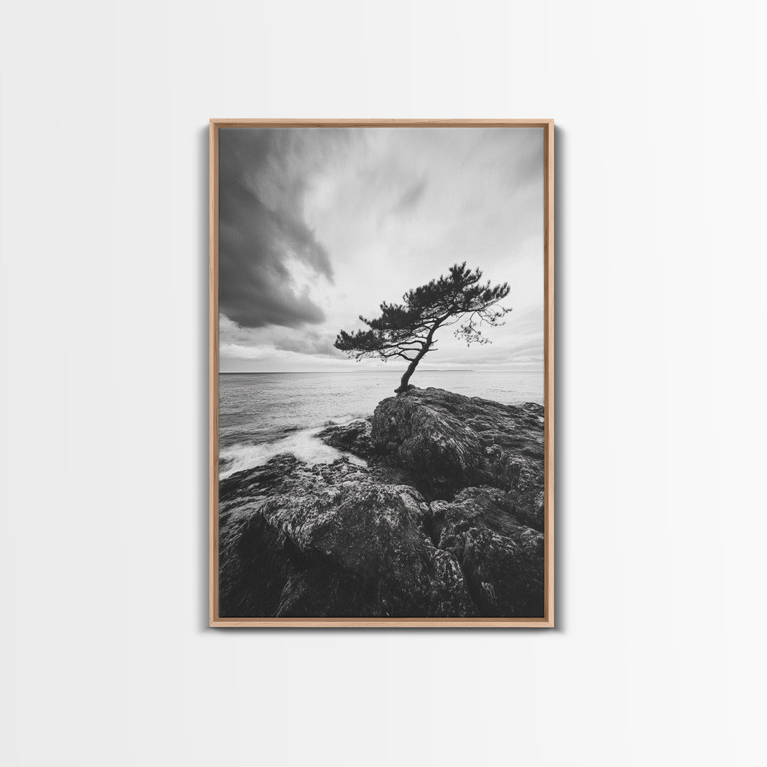 Lone Tree, Cliffside Ocean, Windy Coast Art, Framed Canvas Print, Bedroom Wall Art, Modern Nature Photography, Coastal Minimalist Decor